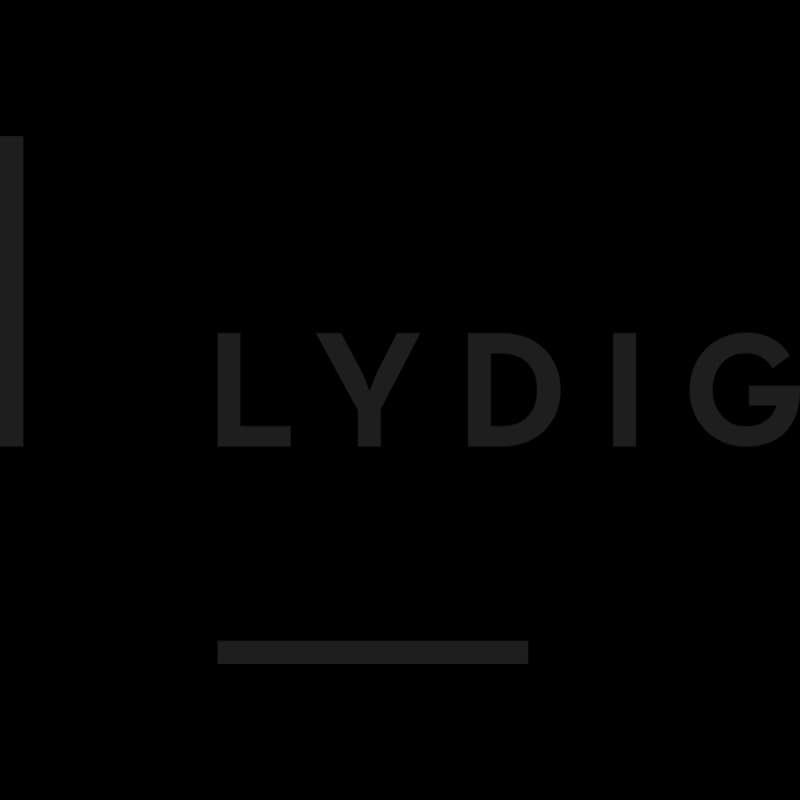 Lydig Construction