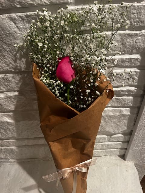 Flowers - Single Rose
